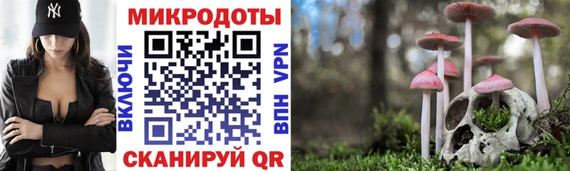 Галлюциногенные грибы Psilocybine cubensis  Купить где  Новая Усмань 