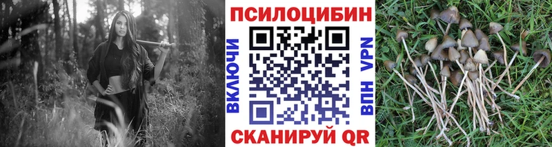 Псилоцибиновые грибы прущие грибы Новая Усмань